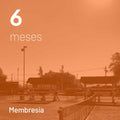 Plan Libre 6 meses